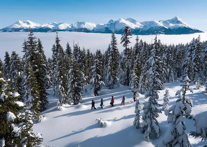 2Br Treeline Townhome - Dog Friendly, Ski-In Access, Private Patio - Harmony Whistler