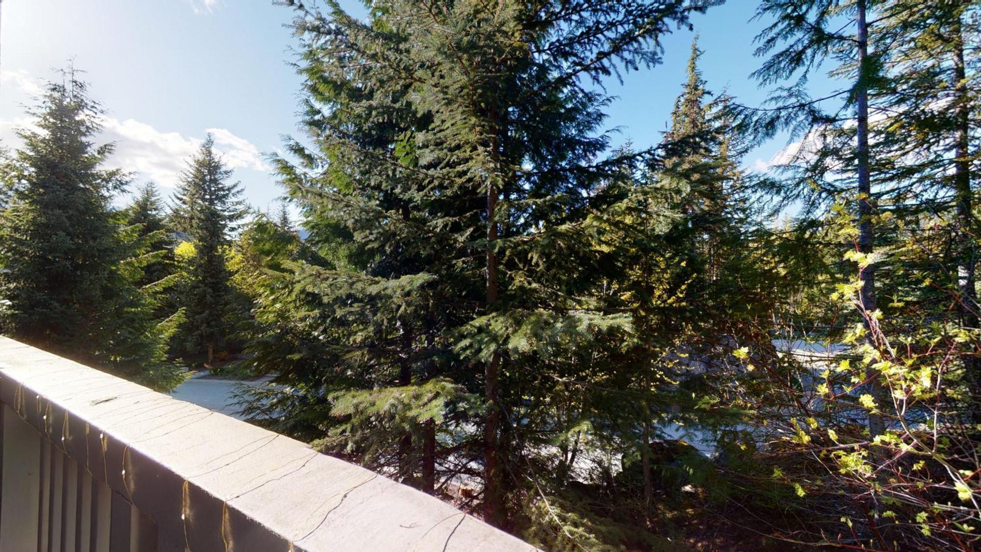 2br Treeline Townhome - Dog Friendly, Ski-in Access, Private Patio - Harmony Holiday home Whistler