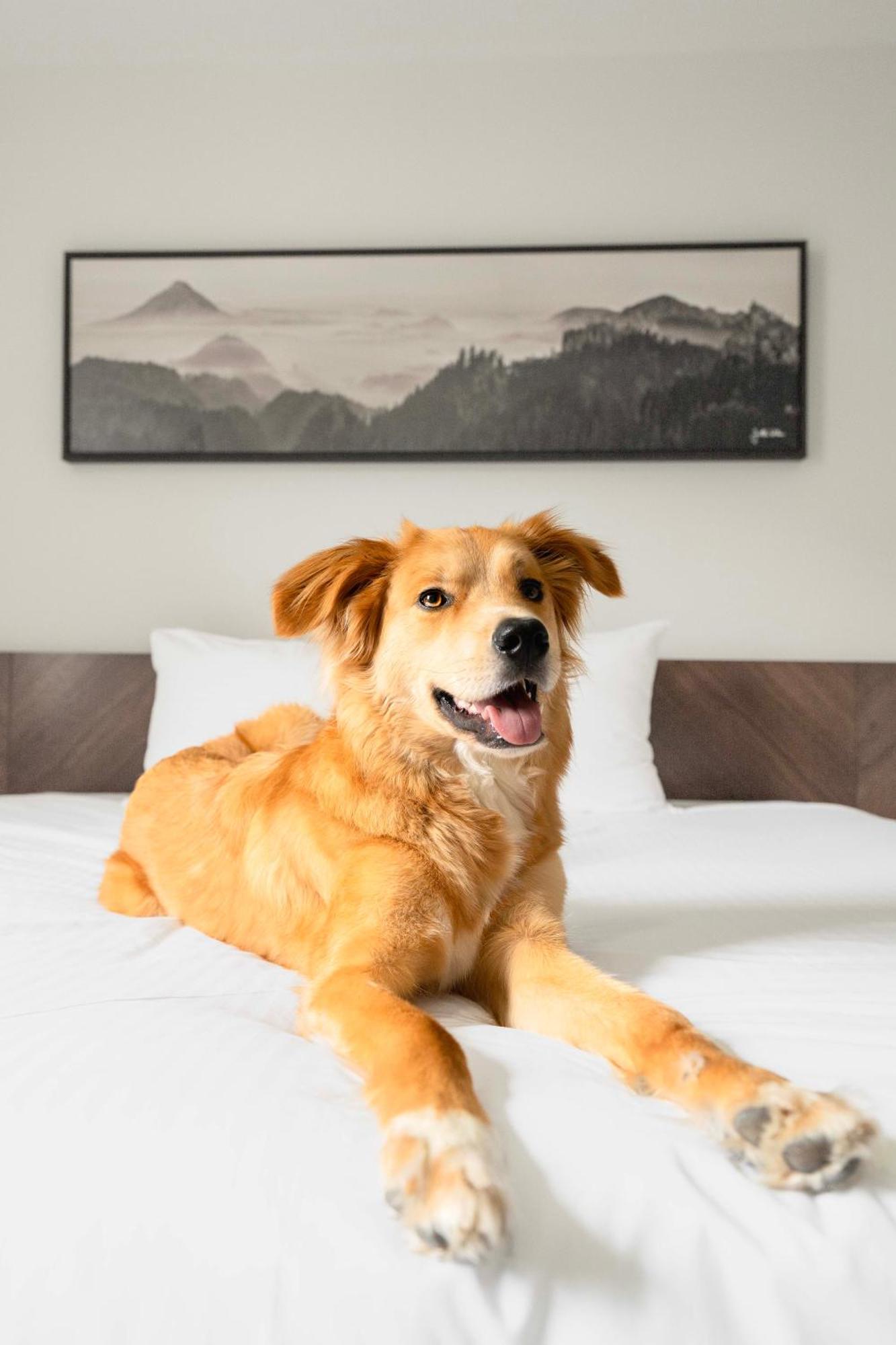 Adara Hotel Whistler