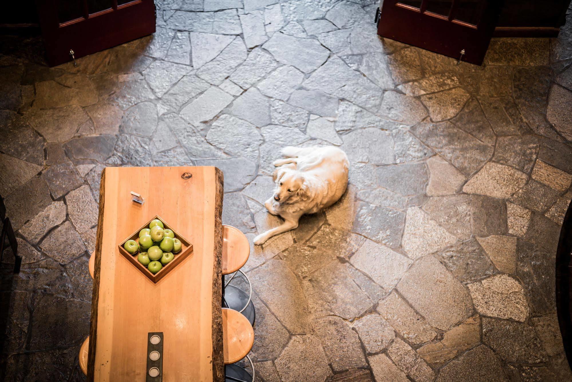 Adara Hotel Whistler