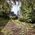 Whiski Jack Creekside