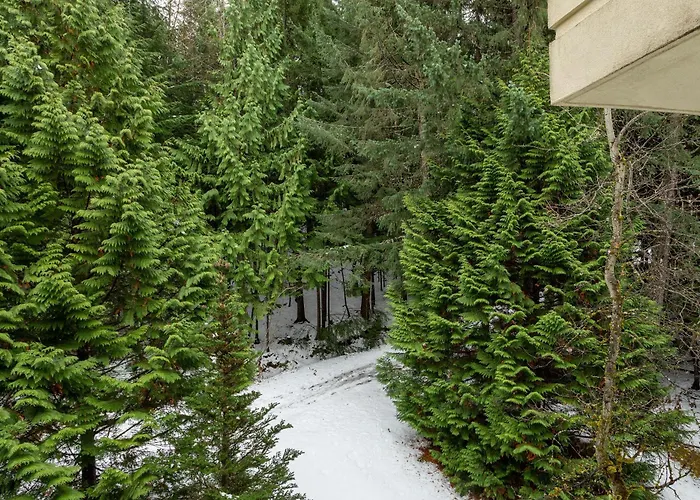Woodrun Lodge 518 | Ski-In, Ski-Out, Hot Tub, Heated Pool, Parking