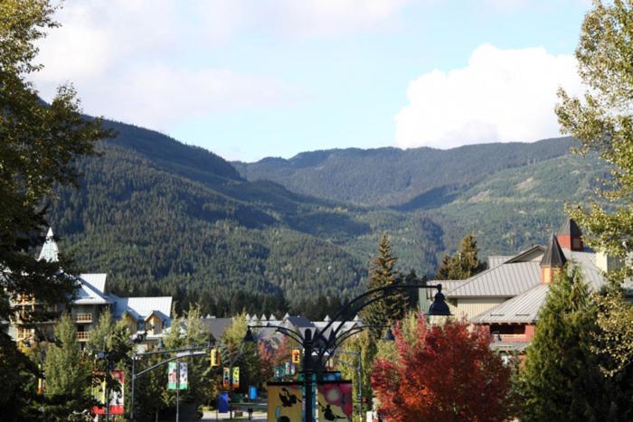 Admira - * Whistler