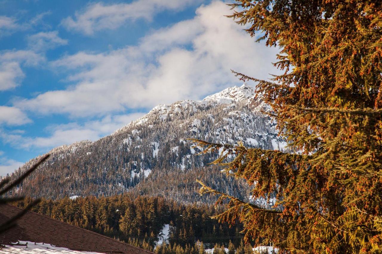 Updated Whistler Creek Studio With Parking Apartment Whistler