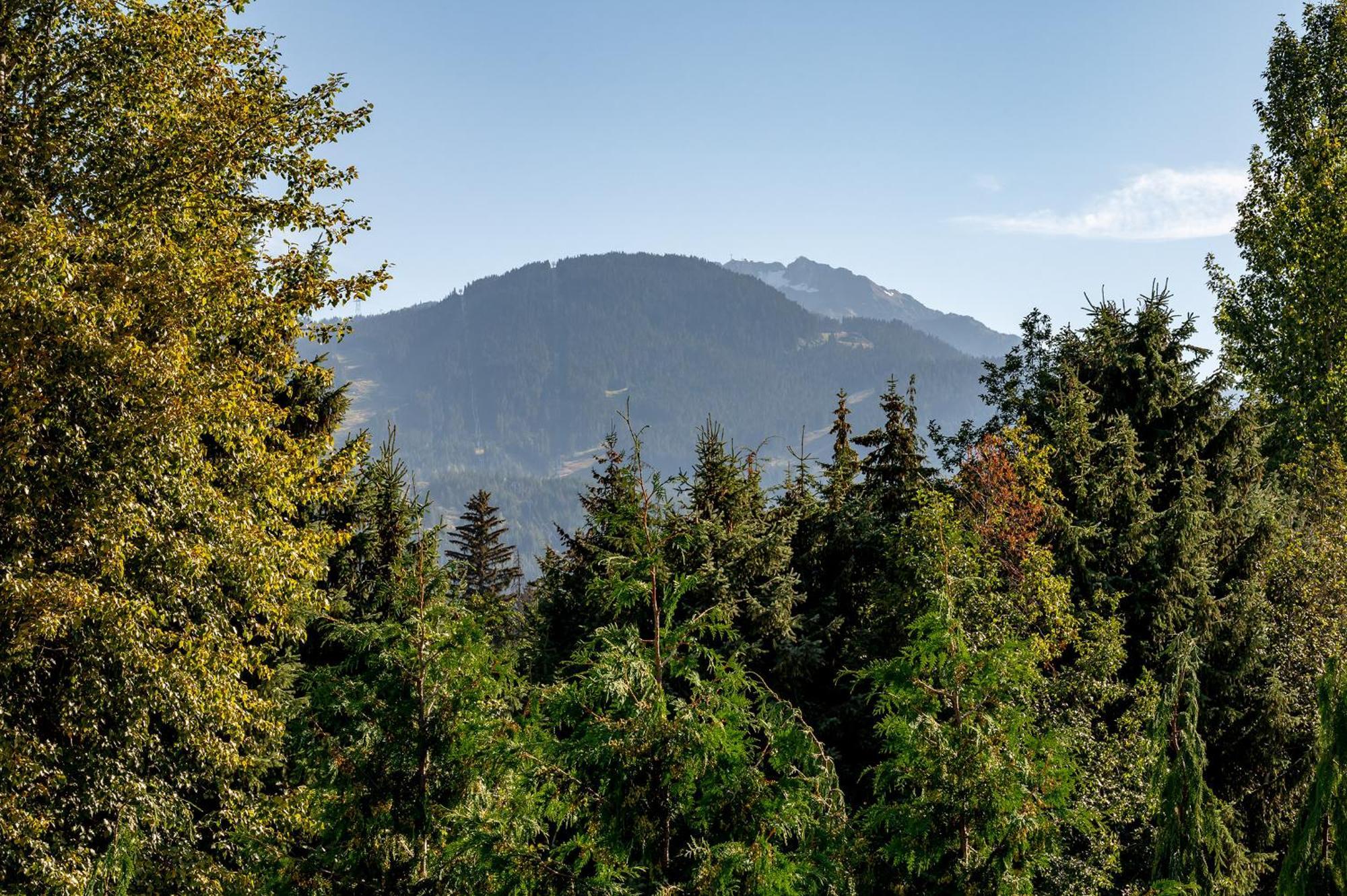 West Coast Style 4-bedroom, 3-bathroom, Mountain View Townhome *