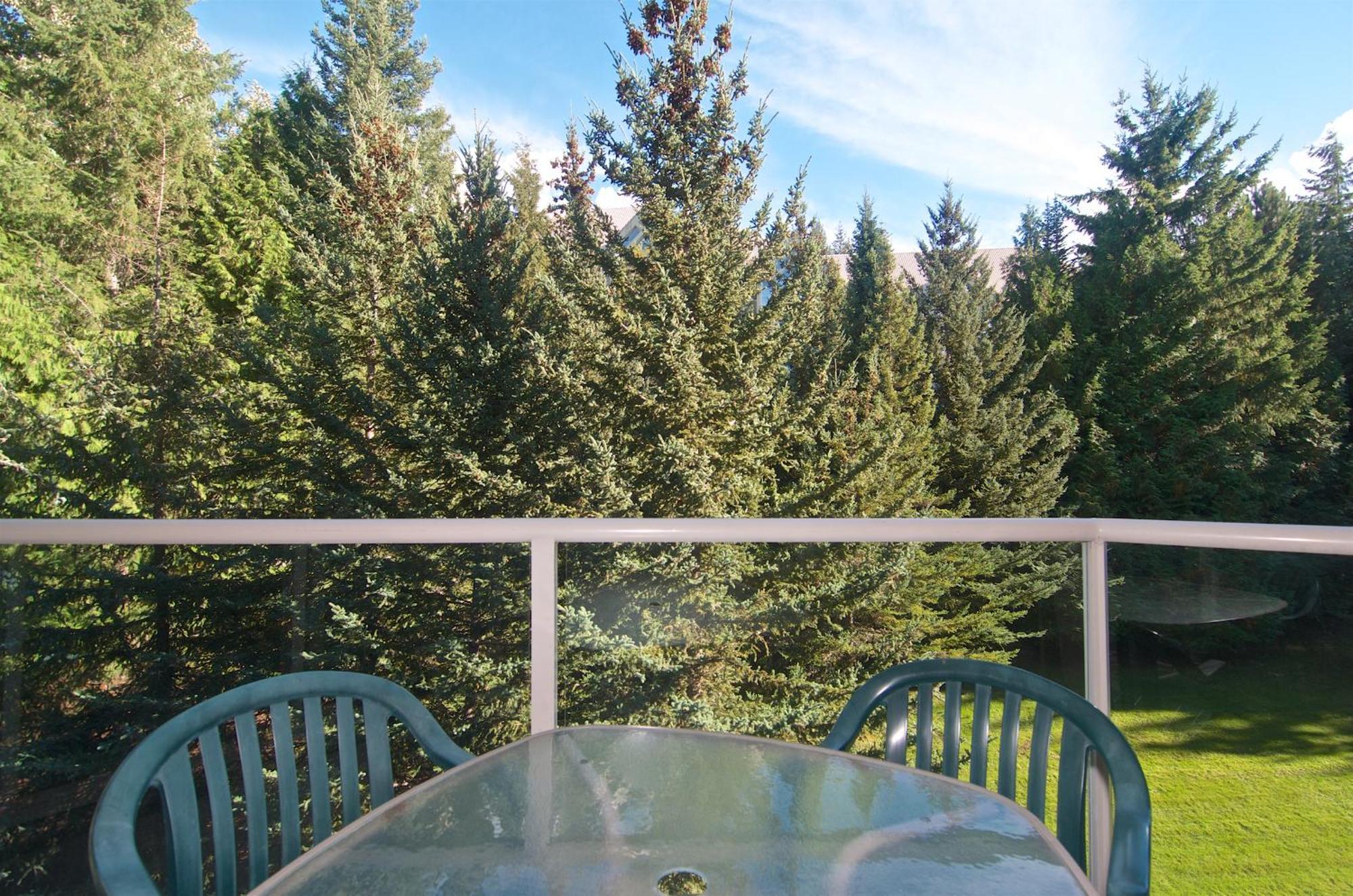 Aspens On The Mountain In Out
