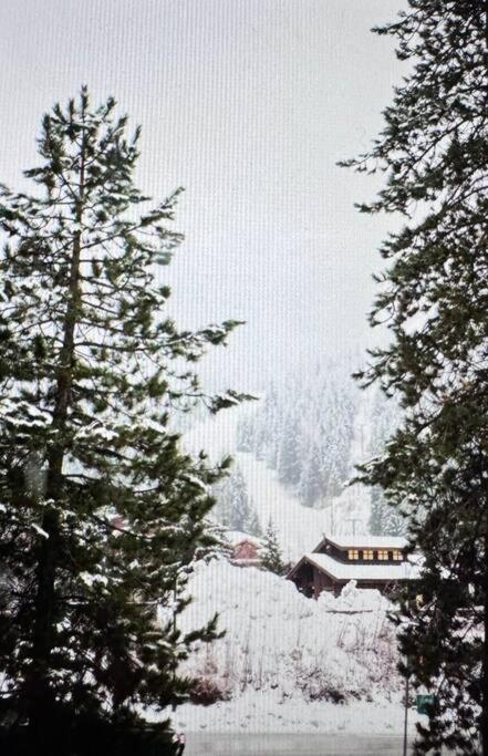 Powder & Pines Luxury Whistler