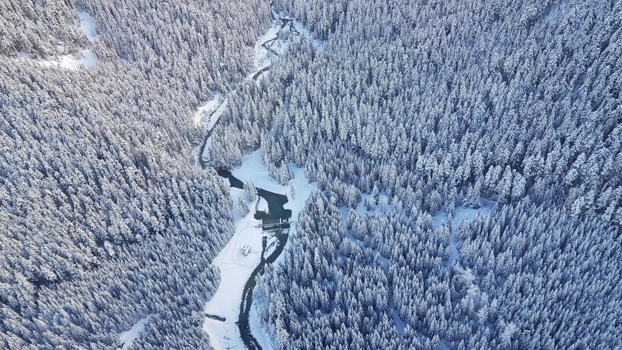 Cozy Creek Den - W Hot Tub And Pool Apartment Whistler