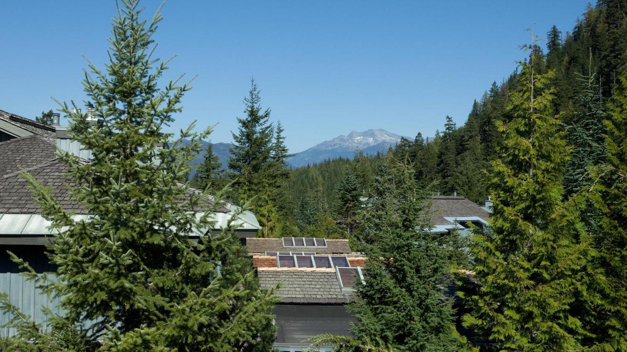 Taluswood 41 | Spacious Cabin-style W/ Access, Private Hot Tub & Media Den