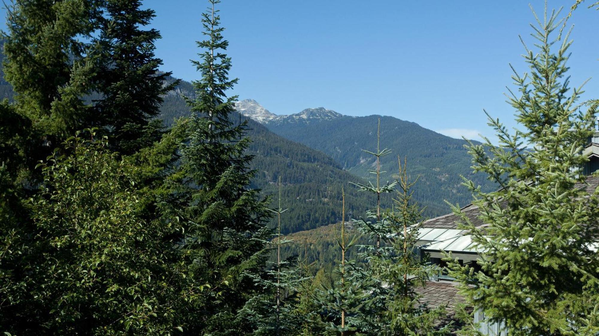 Taluswood 41 | Spacious Cabin-style W/ Access, Private Hot Tub & Media Den Holiday home Whistler
