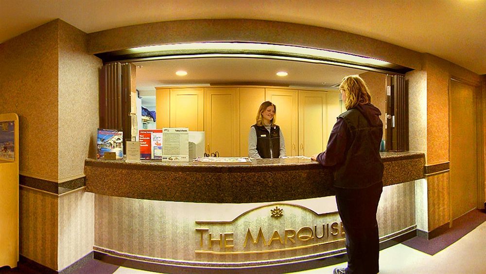 The Marquise *