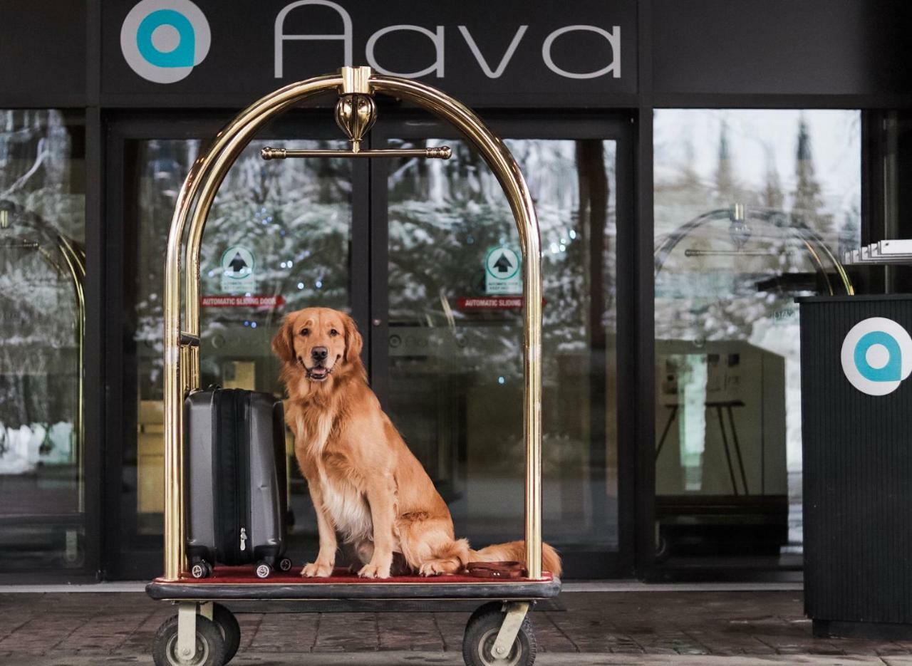 Hotel Aava Whistler