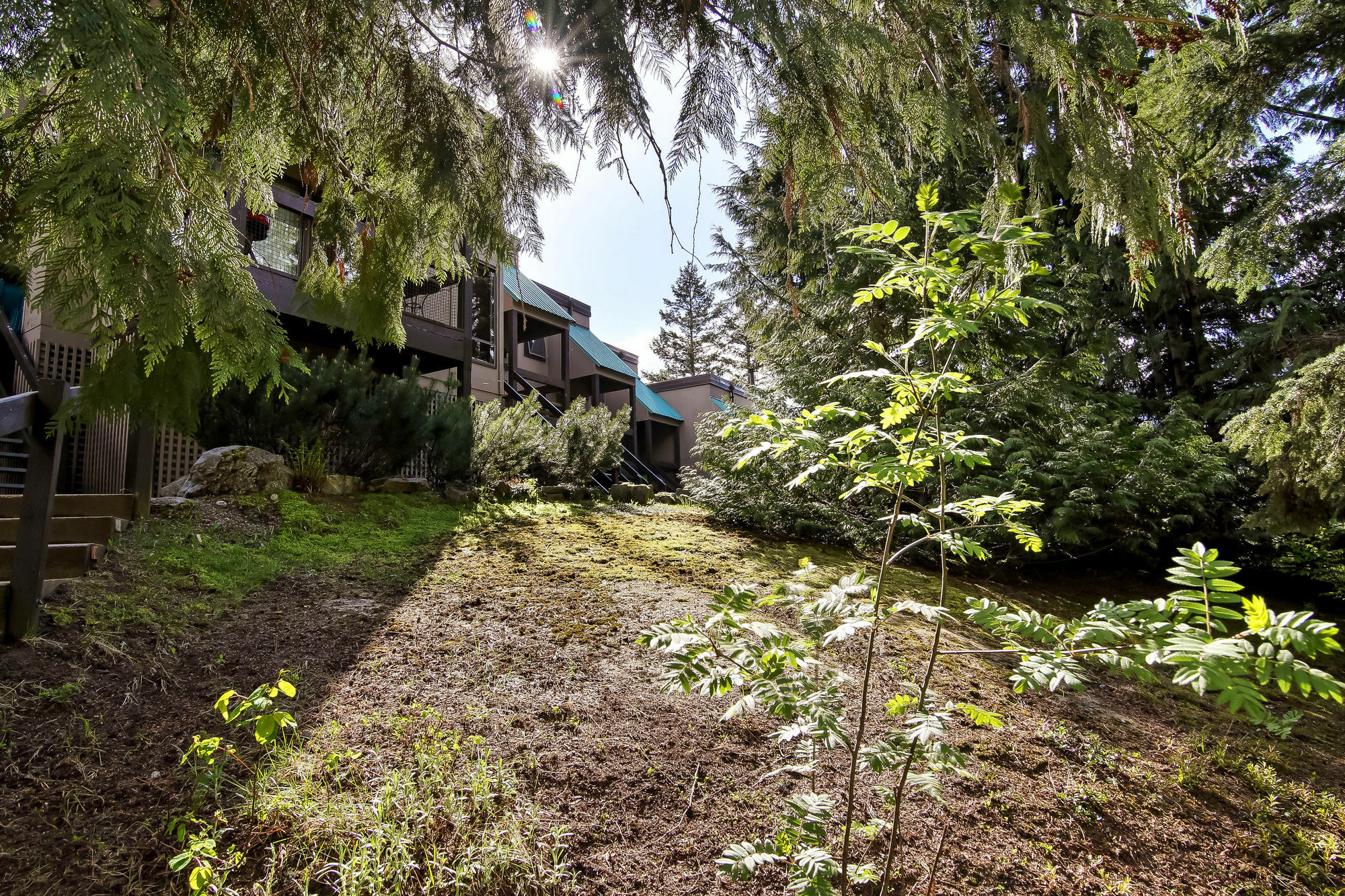 Apartment Whiski Jack Creekside