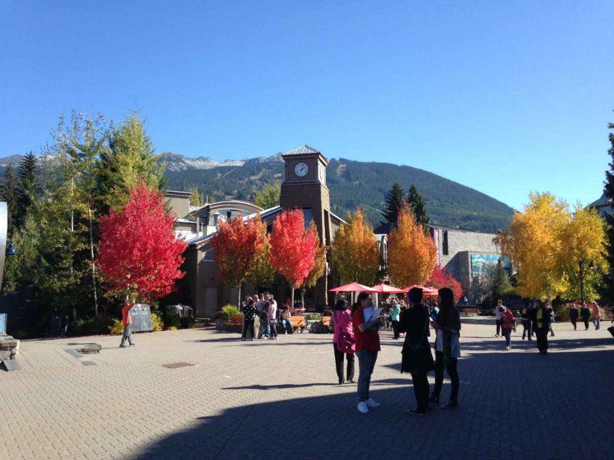Beautifully Renovated, Fantastic Views In Out 3 Beds - Mountain Star * Whistler