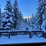 Luxury 5 Bedroom Blueberry Chalet