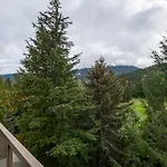 Nighthawk Lane By Outpost Whistler
