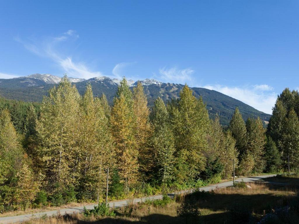 Deluxe 3 Level Townhome Private Hot Tub Media Room, Outdoor Living 26 Holiday home Whistler