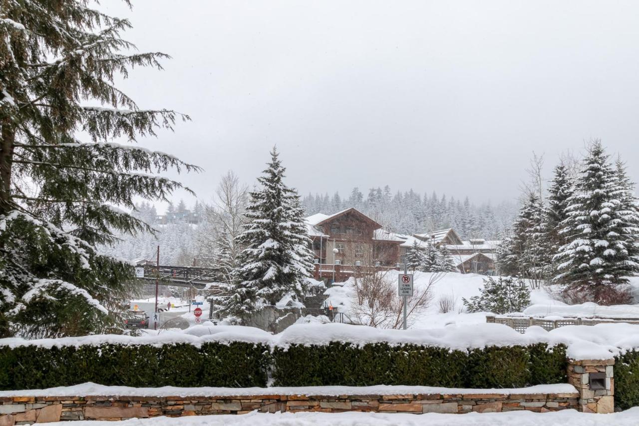 Slopeside Creek Whistler