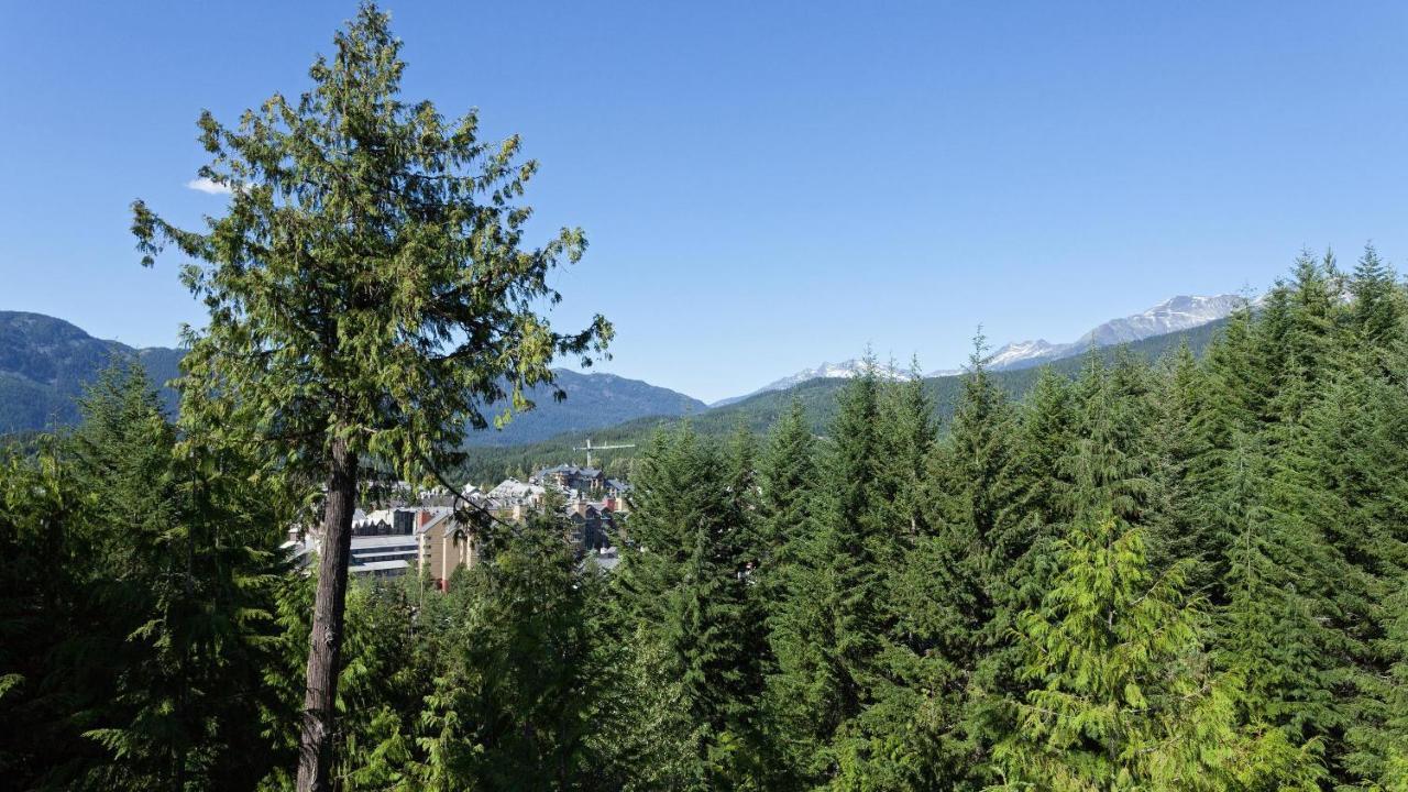 Northern Lights 15 | Family-sized Townhome W/ Sunken Hot Tub, Fireplace & Media Den *