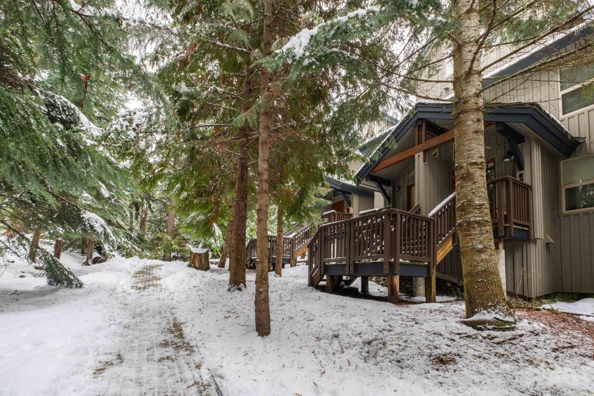 Blackcomb Greens By Outpost