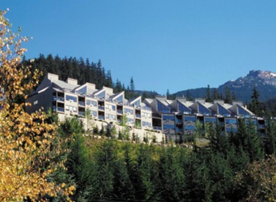 Apartment Amazing Views 2 Br/2 Ba In Out *
