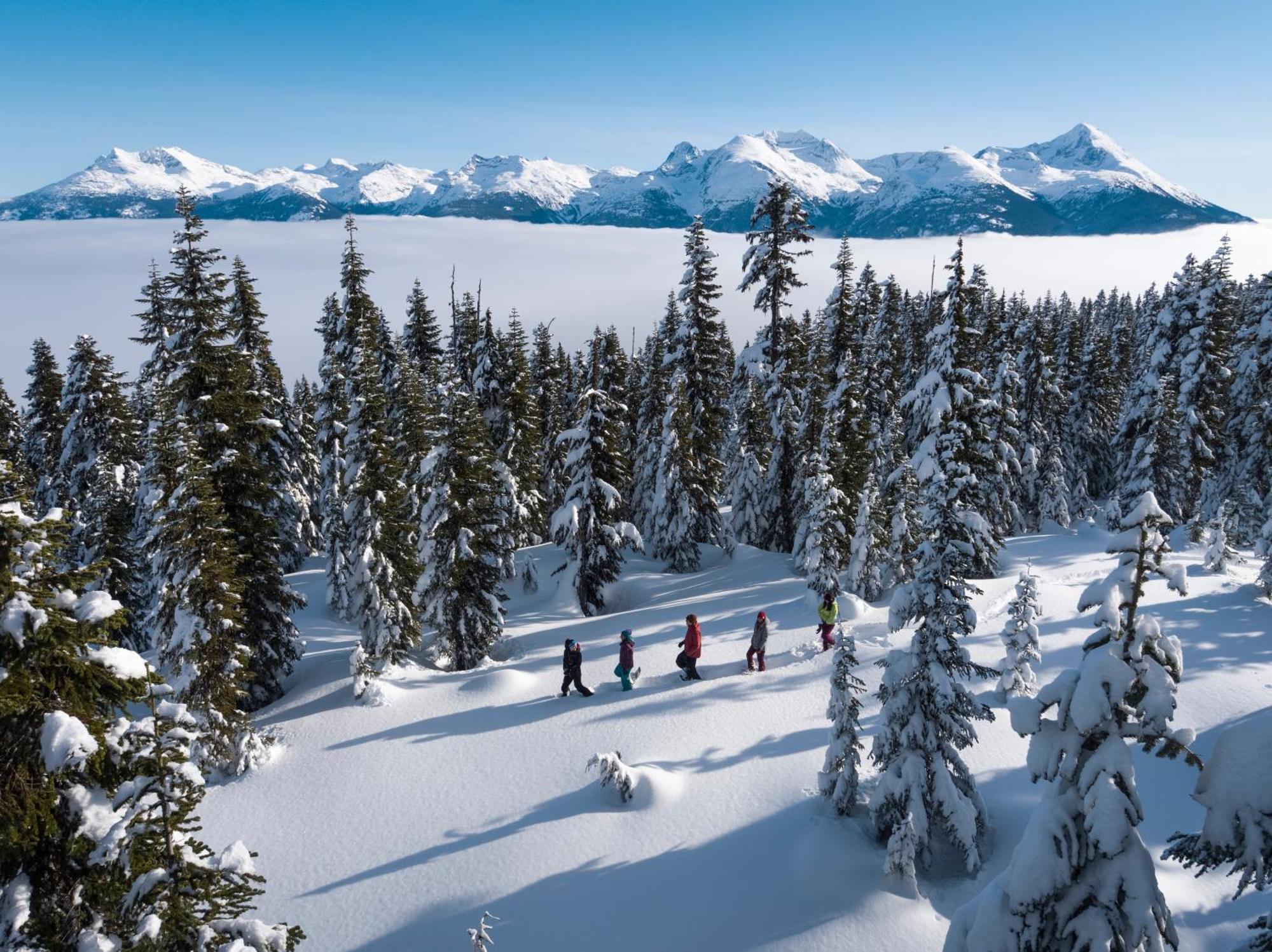 Perfect Upper Village In-ski Out Location *