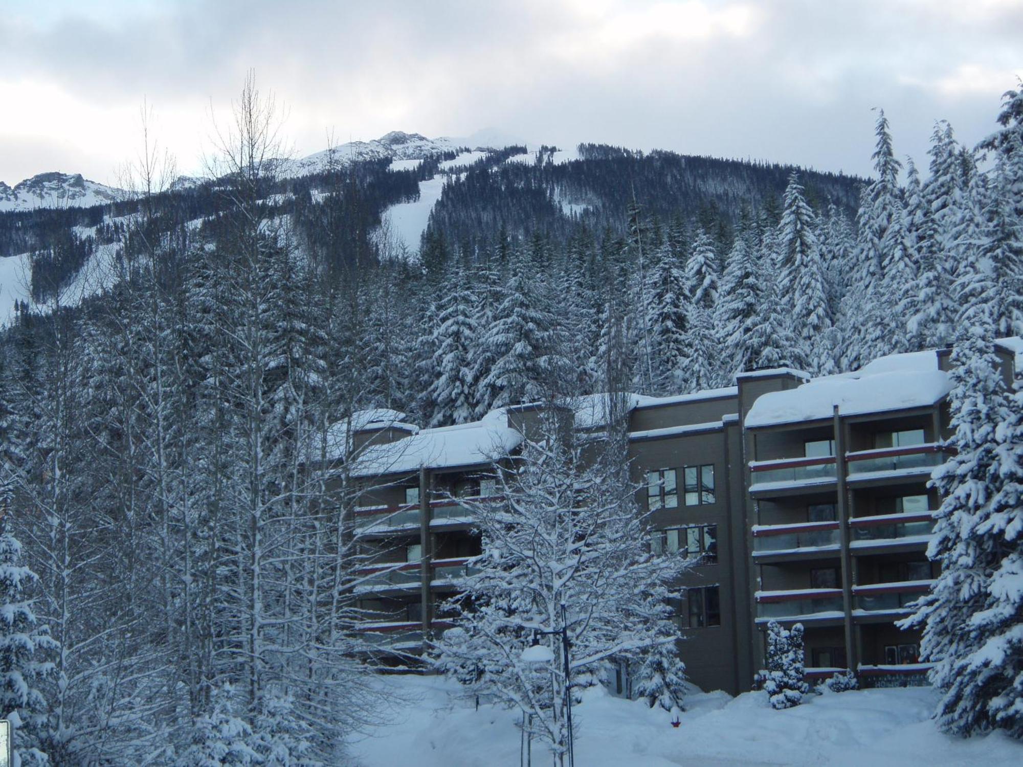Tantalus Whistler