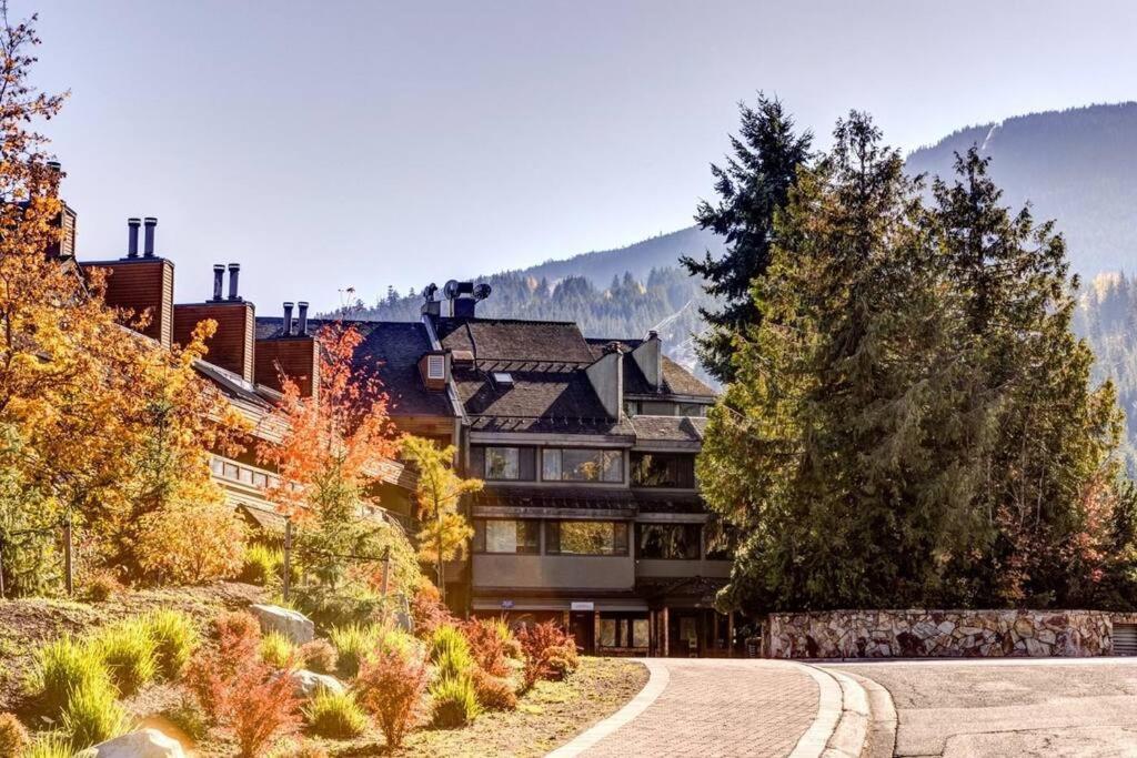 1bd Unit In The Heart Of Village Apartment