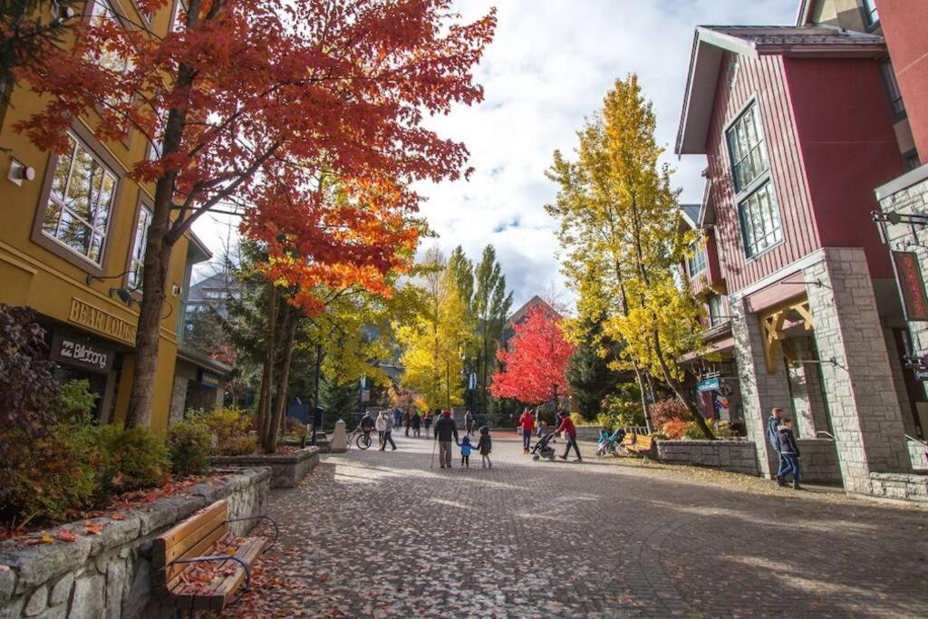 Bear Lodge, Village - Spectacular Location On Village Stroll, Designer Remodel Apartment