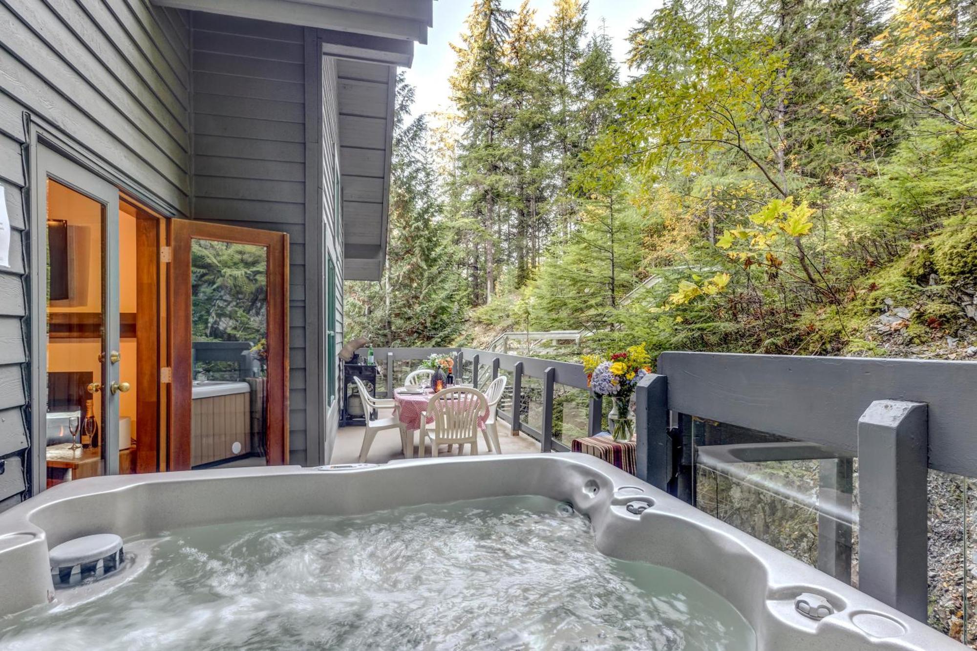 Northern Lights 21 Whistler
