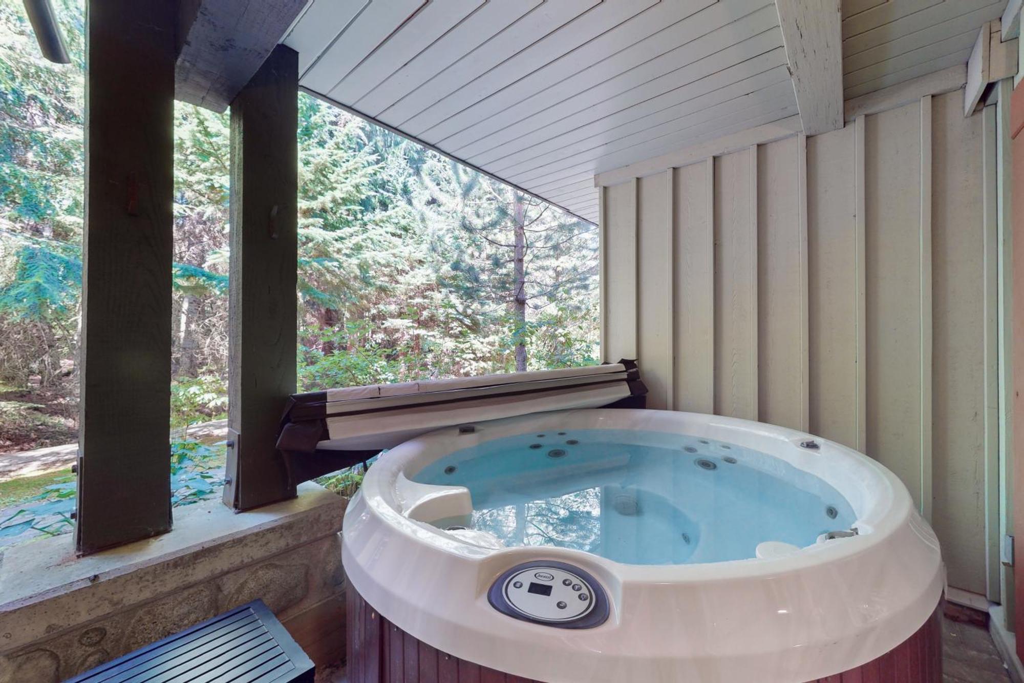 Sunpath #36 Whistler