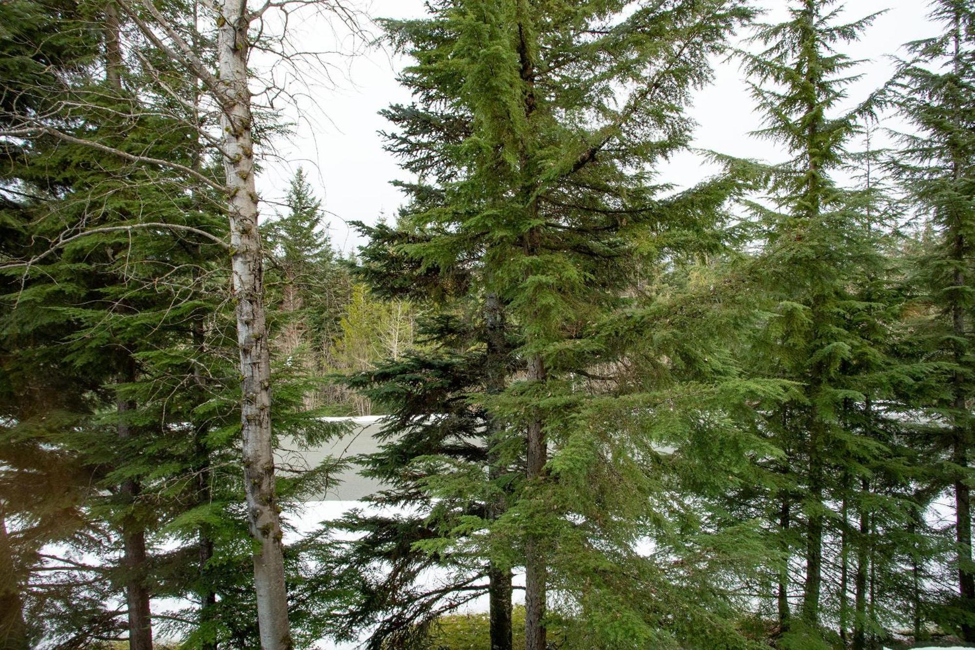 Forest Trails 9 - Walk Or Shuttle To Skiing, Fireplace, Private Garage, Free Parking Holiday home Whistler