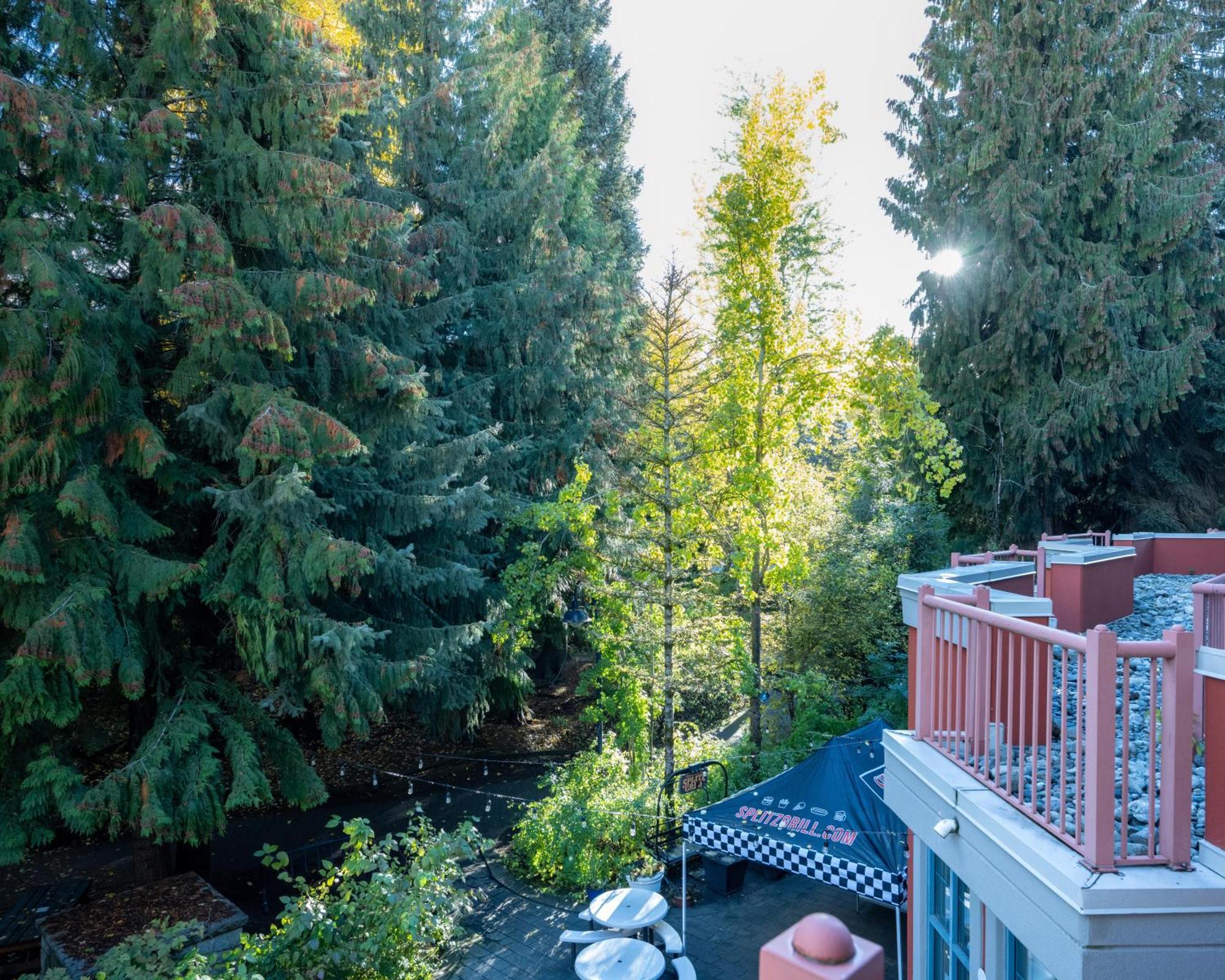 Alpenglow Cozy With Den By Mva Apartment