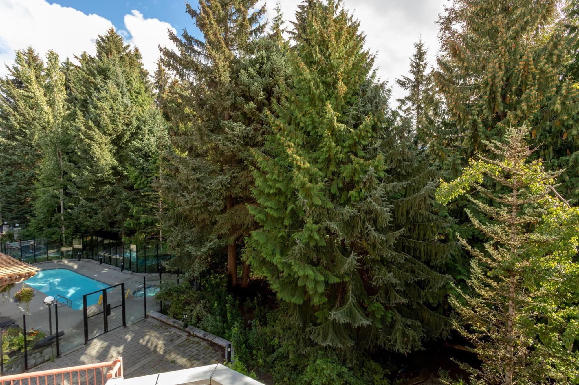 Alpenglow Bear Wonder One Bedroom By Mva Holiday home *