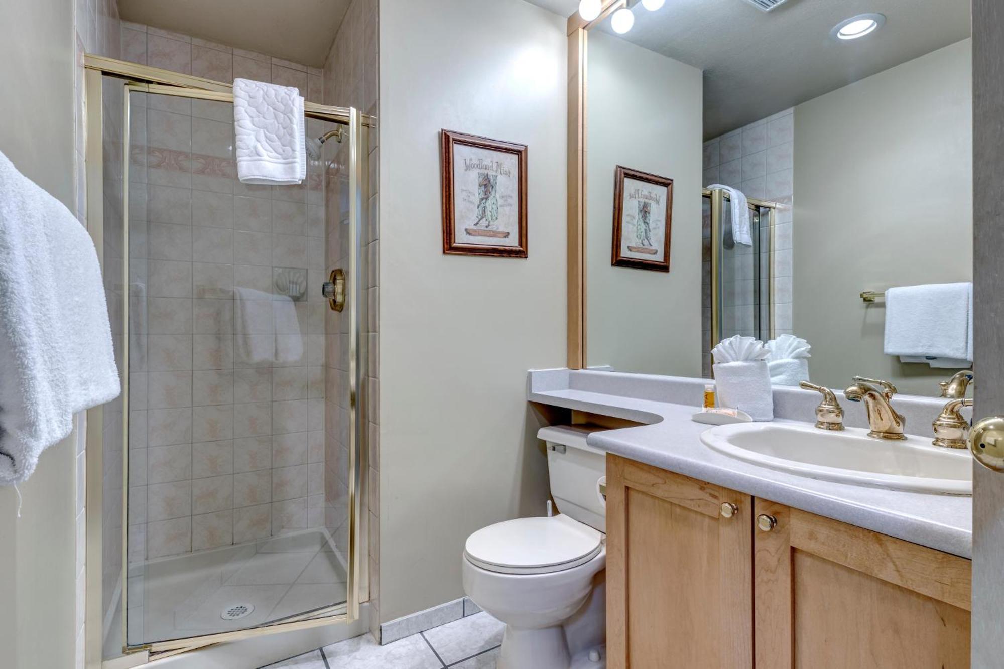 Greystone 229 Ski-in Out Holiday home *