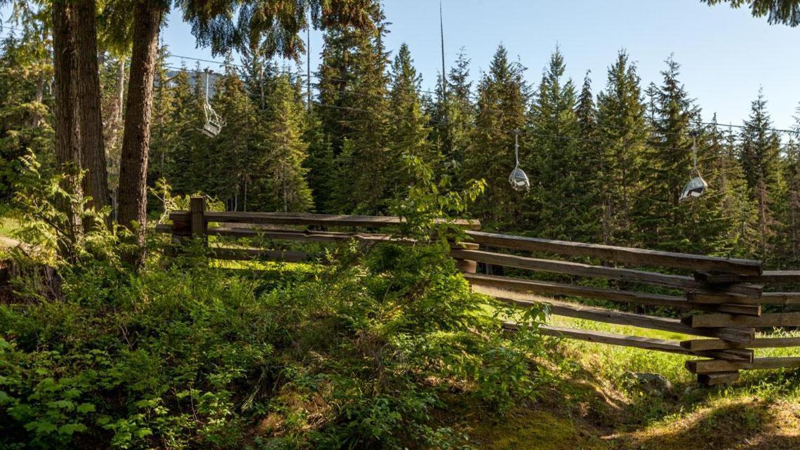 Woodrun 108 | Ski-in Ski-out W/ Pool, Hot Tub, Parking, & Patio Near Upper Village Holiday home Whistler