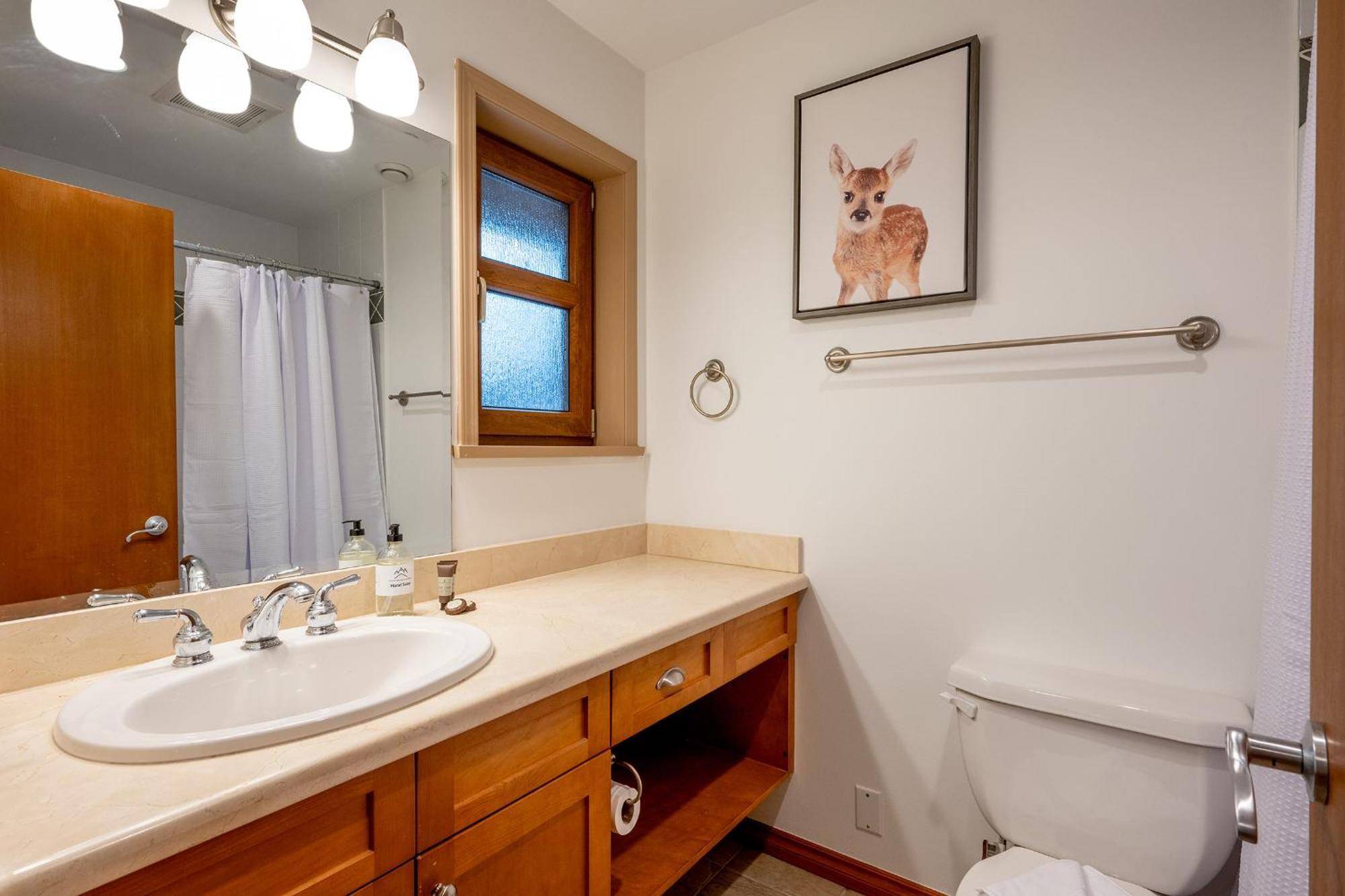 Lodge Alpine Retreat Whistler