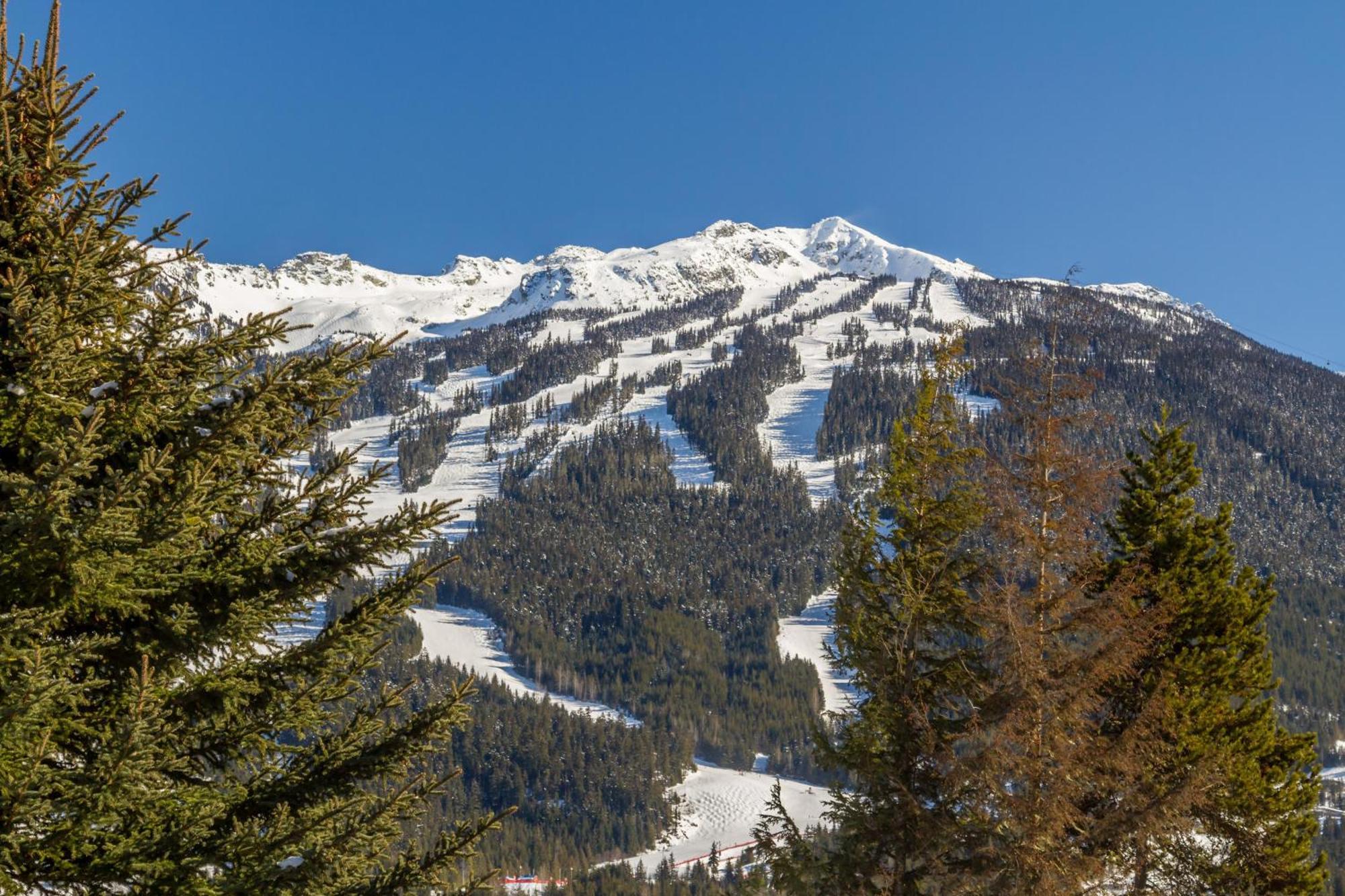 Chalet 3354 Peak Drive *