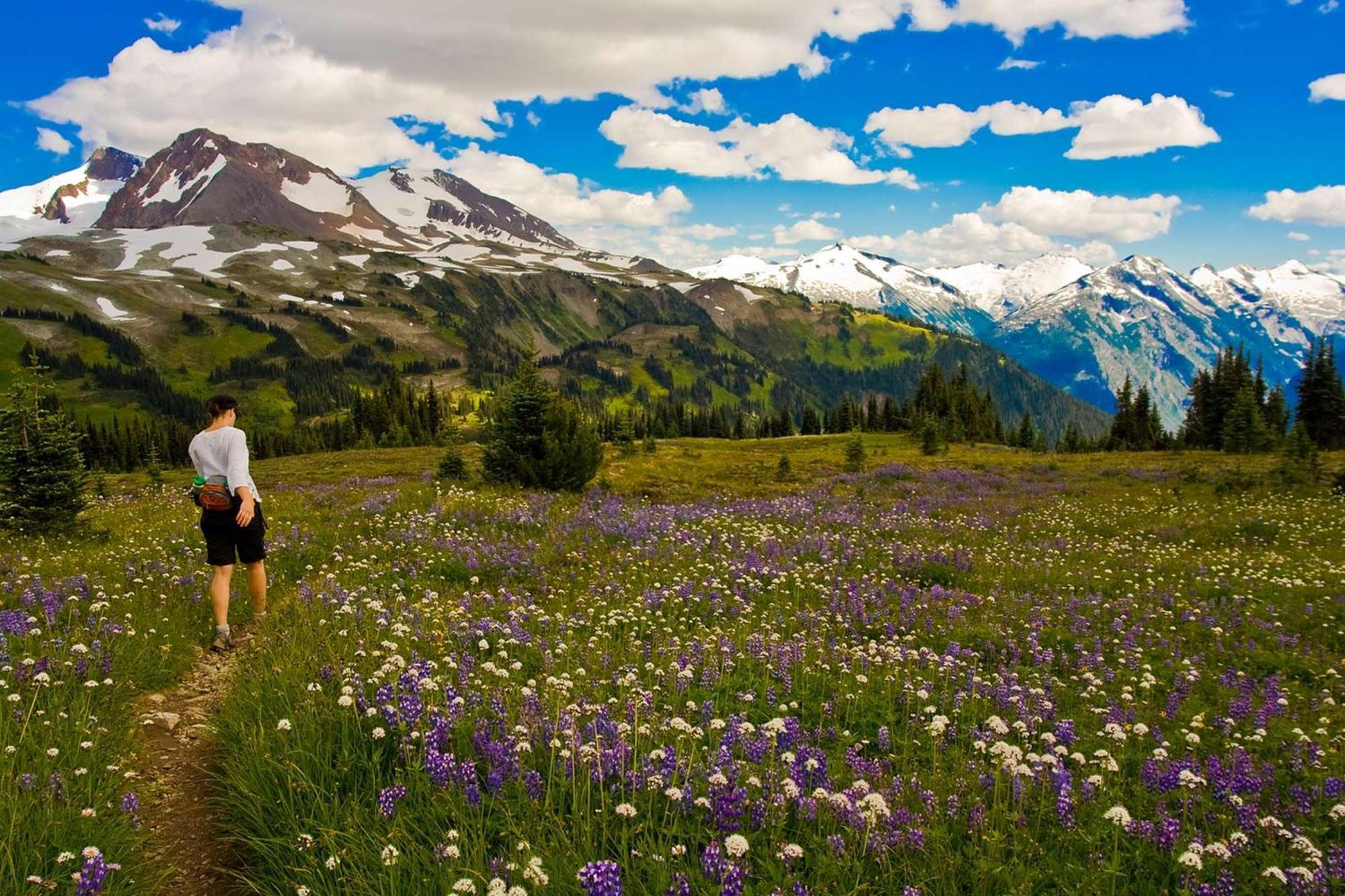 Hilton & Spa Resort Whistler