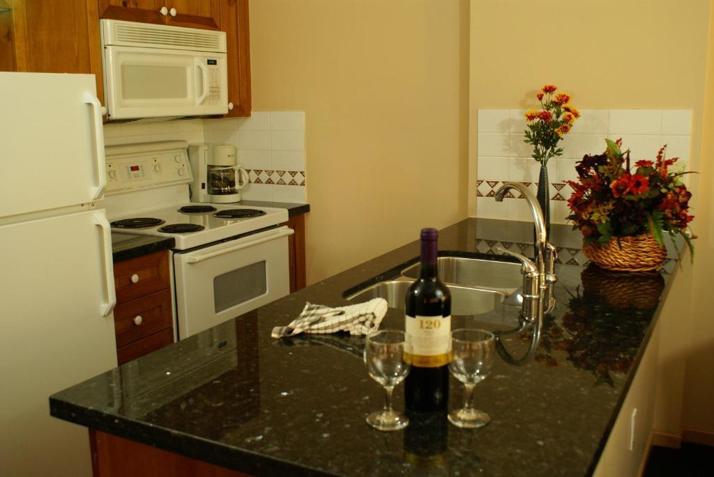 Superior Apartment Whistler