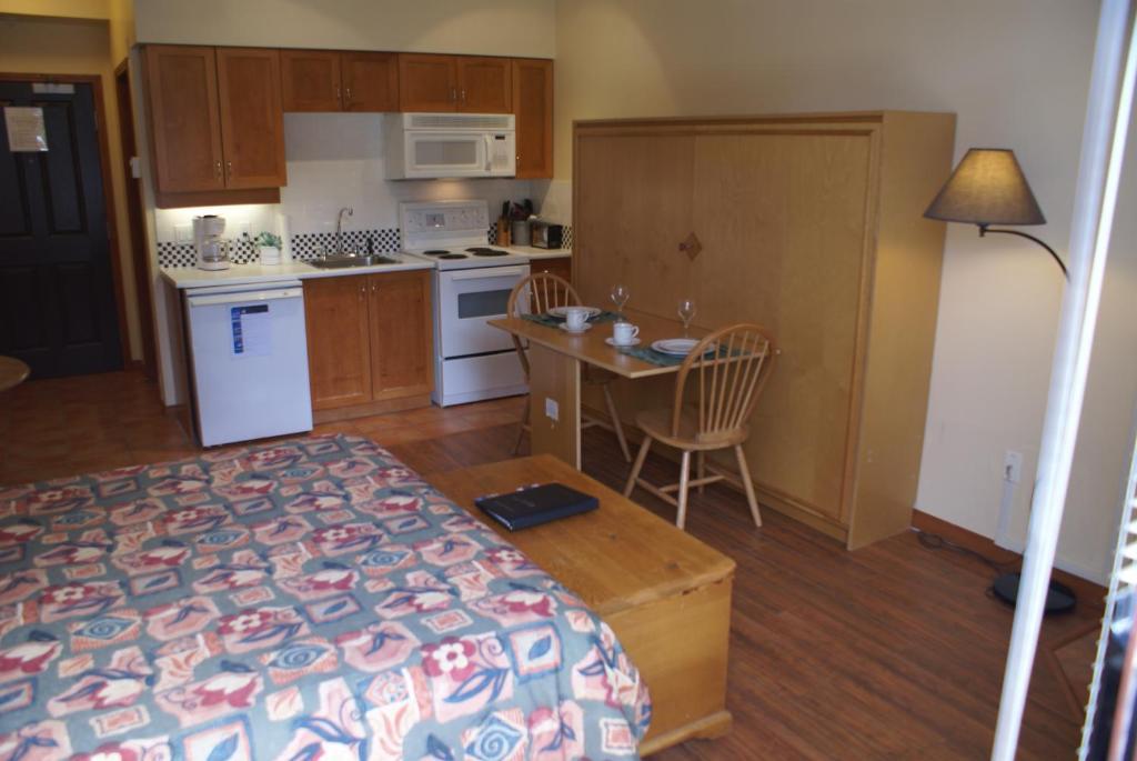 Superior Apartment Whistler