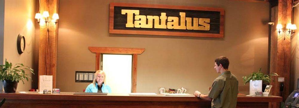 Tantalus 3*