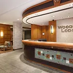 Woodrun Lodge 216 | Renovated Ski-In Ski-Out Condo W/ Free Parking, Pool, Hot Tub, & Gym