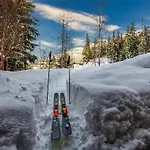 Kadenwood 2924