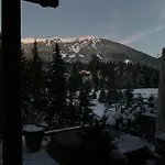 Beautiful 5 Bedroom Log Home With Spectacular Views