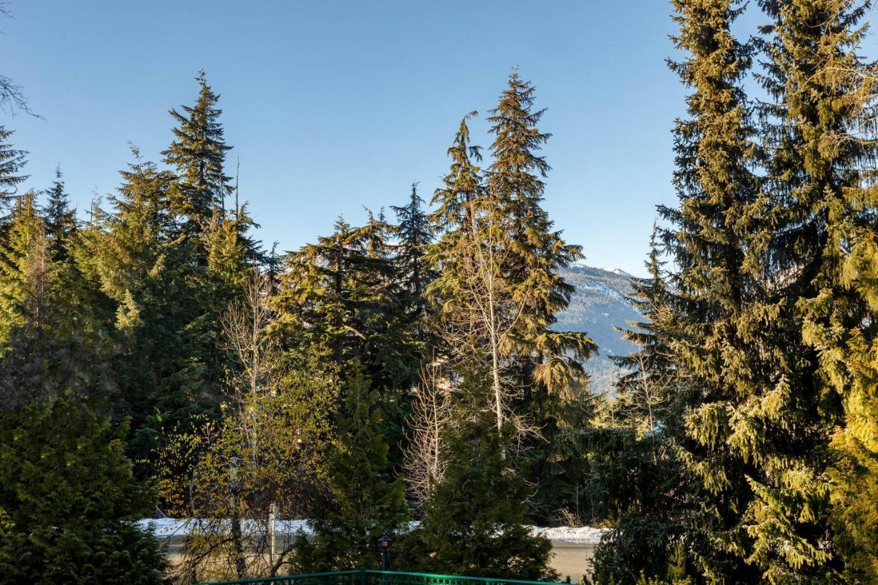 Contemporary & Spacious Slopeside 1br Getaway *