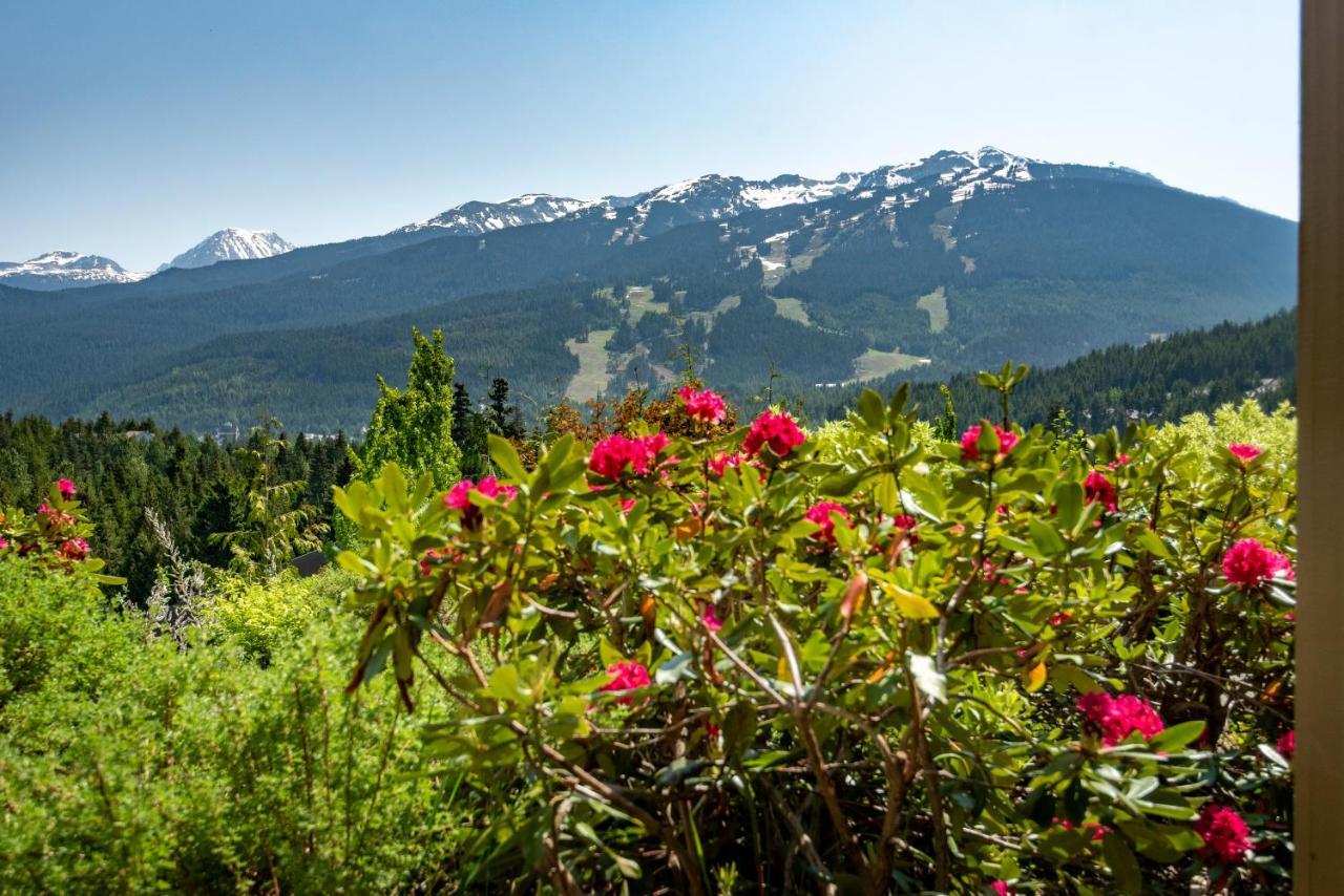The Ironwood On Blueberry Hill Whistler