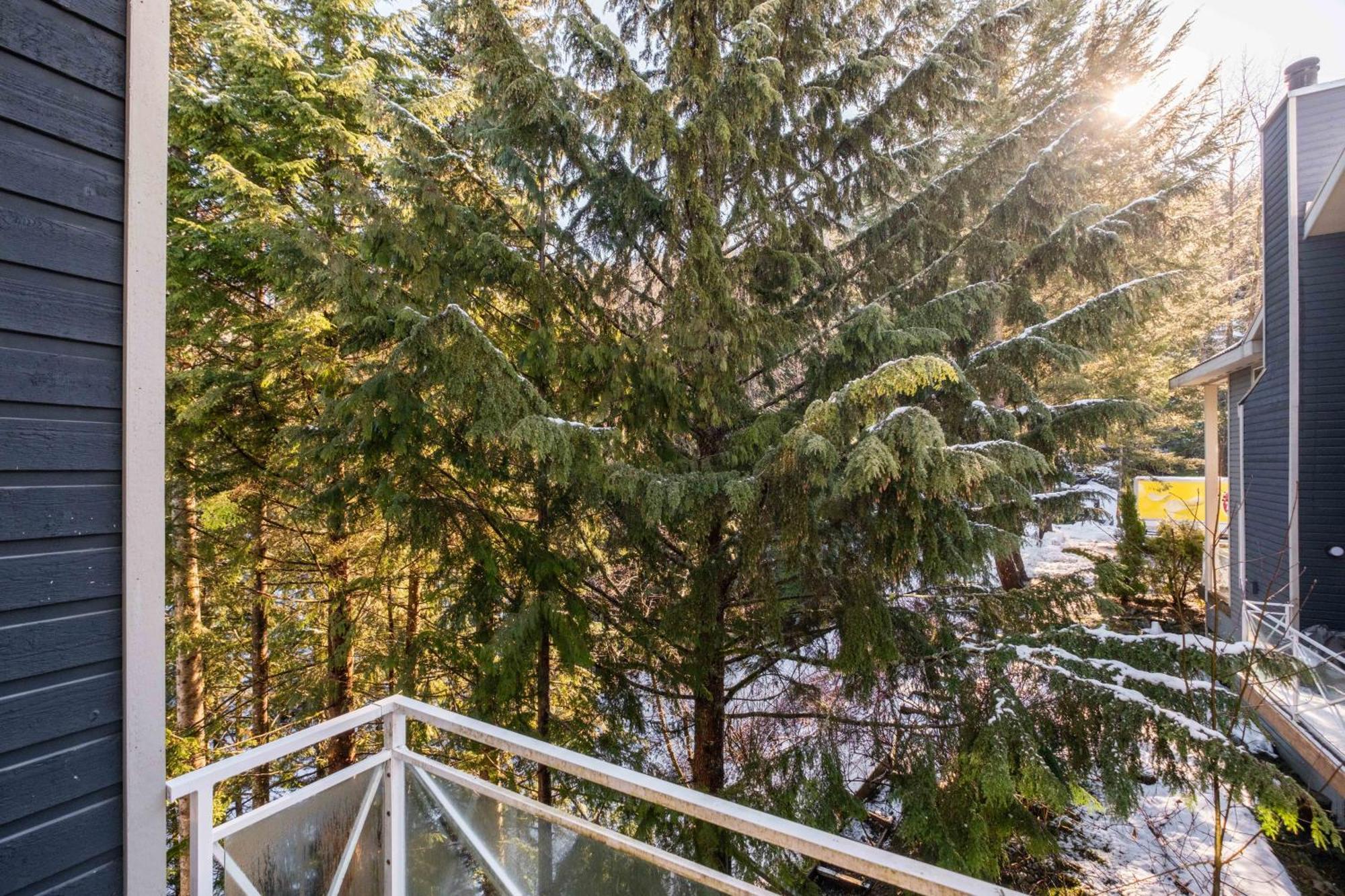 Gondola Heights By Outpost Whistler