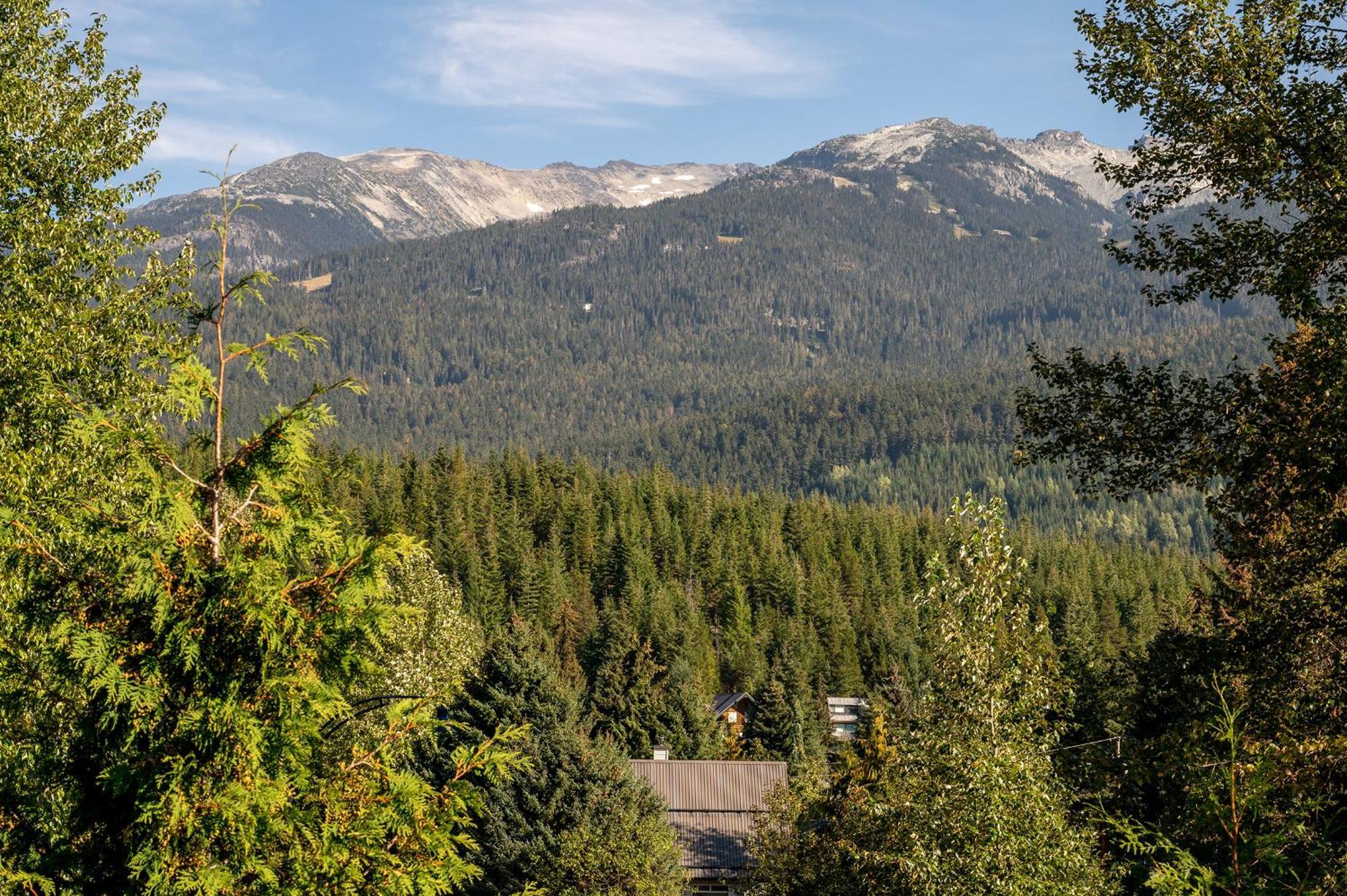 West Coast Style 4-bedroom, 3-bathroom, Mountain View Townhome * Whistler