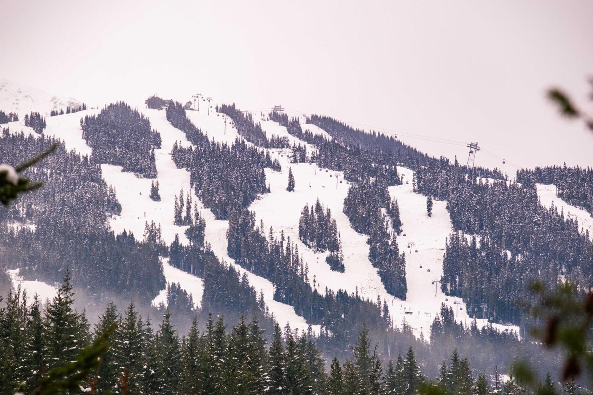 Spruce Grove By Outpost Chalet Whistler